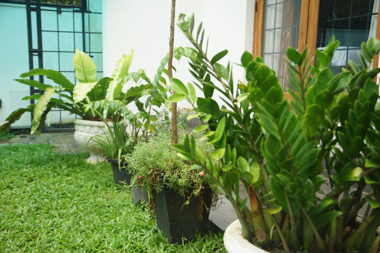 Nelinsa Residence Kandy Dış mekan fotoğraf