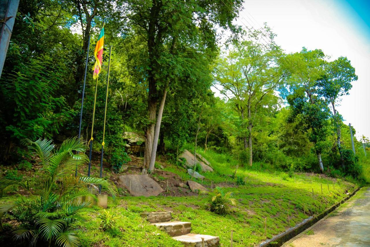 Nelinsa Residence Kandy Dış mekan fotoğraf